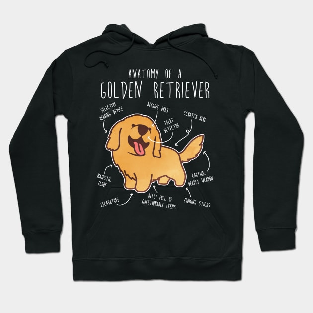 Golden Retriever Anatomy Hoodie by Psitta